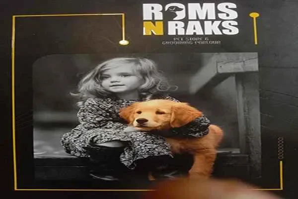 Image of: Roms N Raks